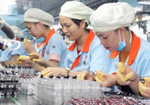 Đơn hàng xklđ Nhật Bản cho người Bến Tre